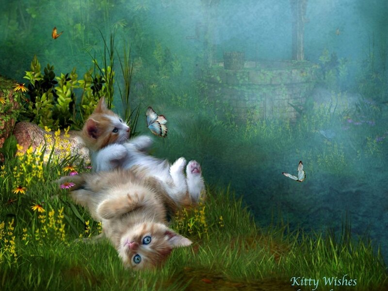 Two Kittens in Grass — Green, Serene, Morning