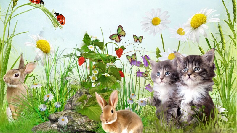 Two Kittens in Grass — Green, Serene, Spring, Digital Art