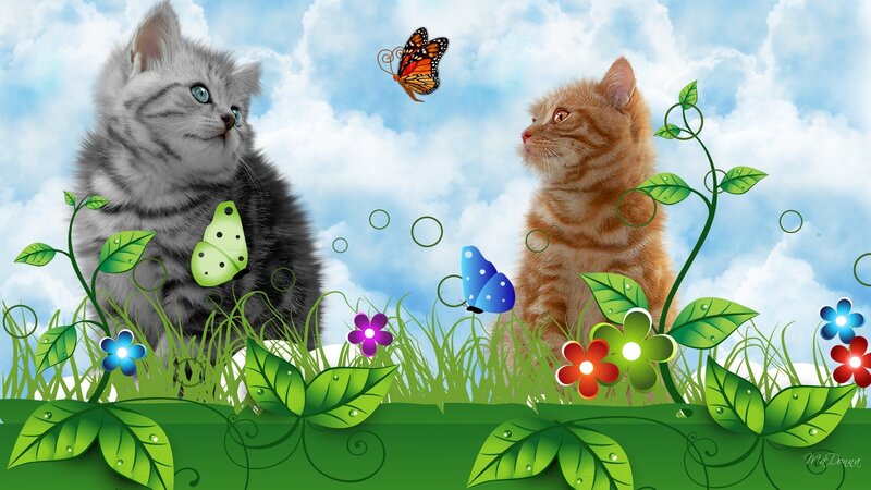 Two Kittens in Grass — Green, Serene