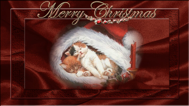 Two Kittens in Hat — Red, Peaceful