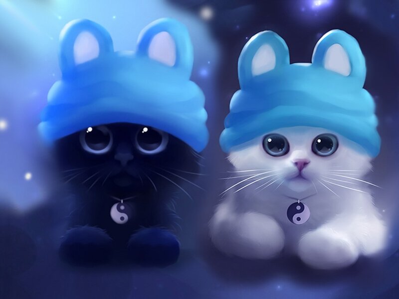 Two Kittens in Hats — Blue, Dreamy