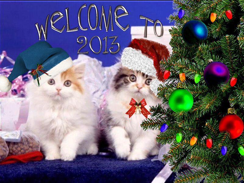 Two Kittens in Hats — Blue, Festive