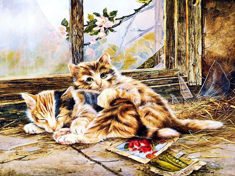 Two Kittens in Hay