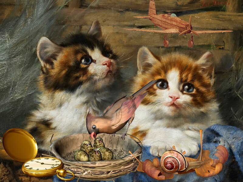 Two Kittens in Nest