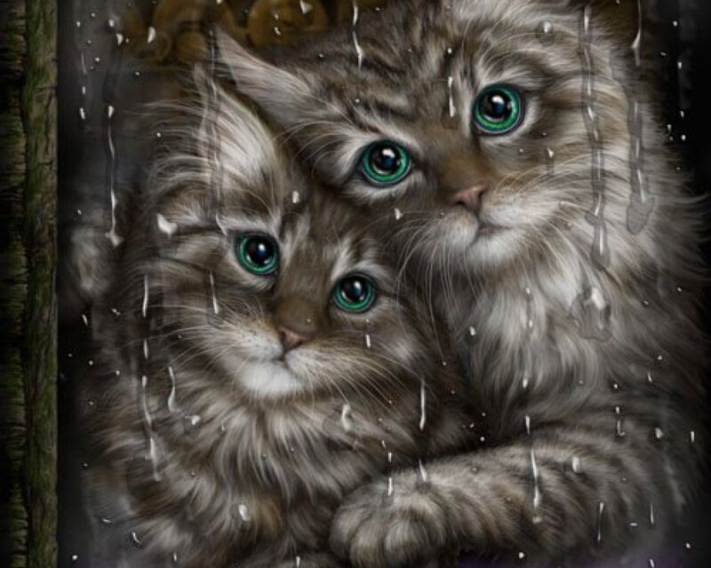 Two Kittens in Rain