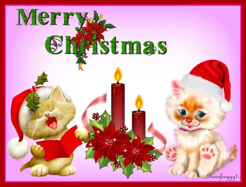 Two Kittens in Santa Hats