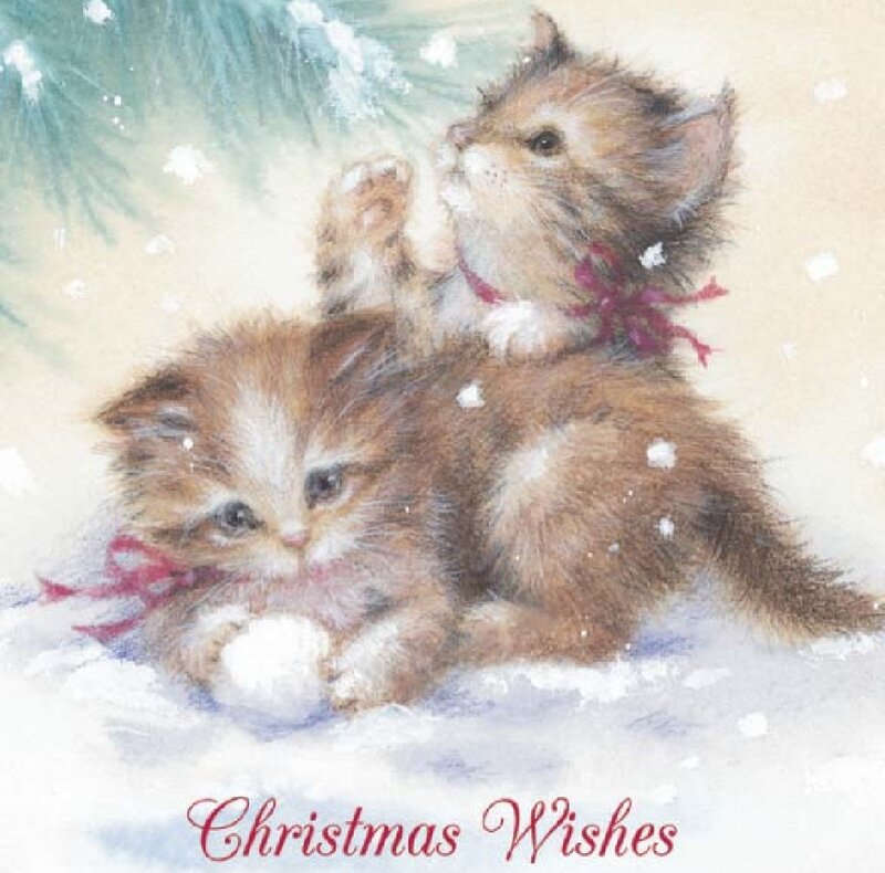 Two Kittens in Snow — Brown