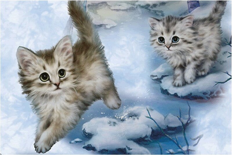 Two Kittens in Snow