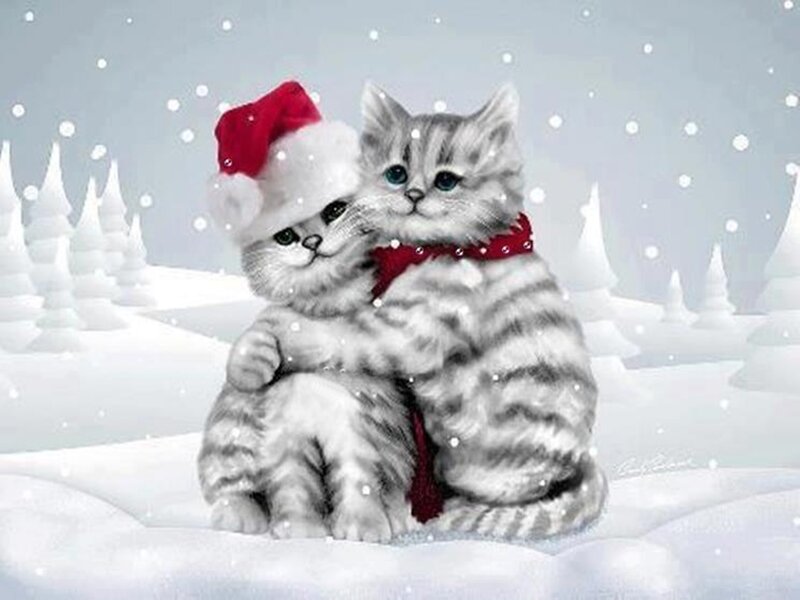 Two Kittens in Snow — White