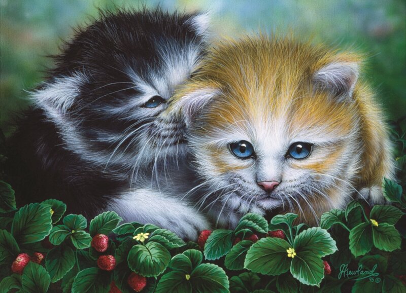 Two Kittens in Strawberries