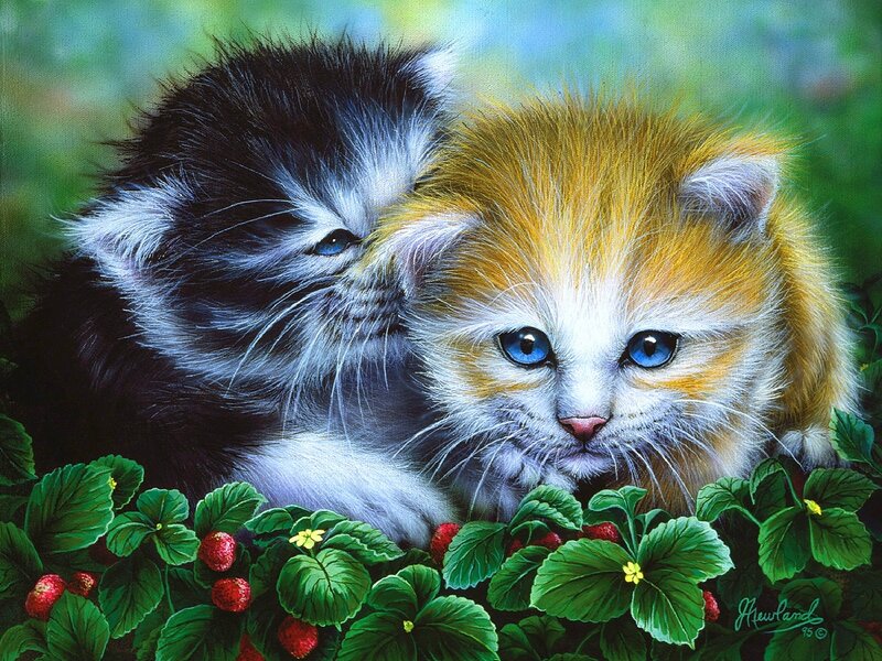 Two Kittens in Strawberry Patch