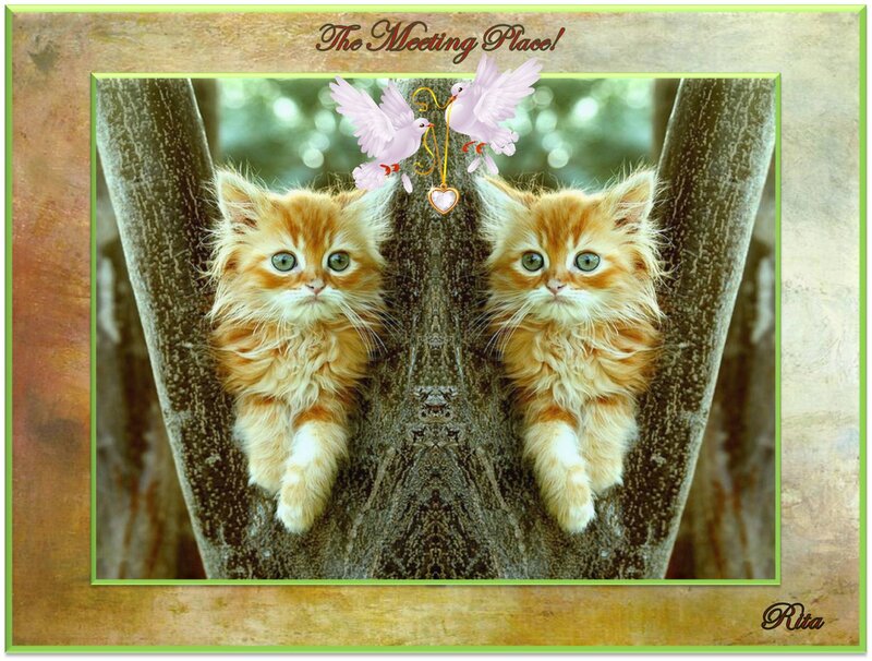 Two Kittens in Tree
