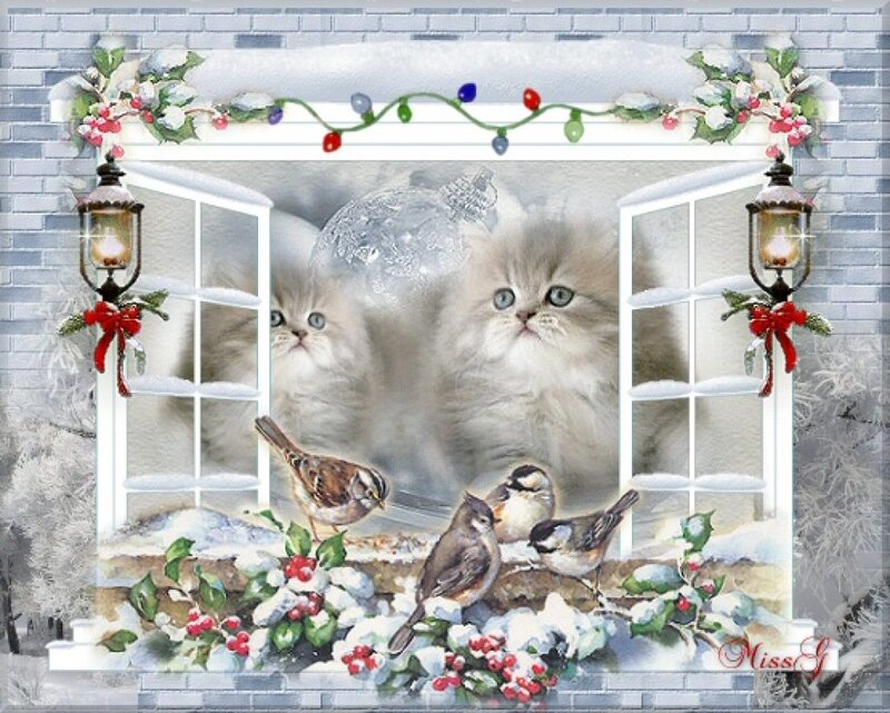 Two Kittens in Window — White, Festive