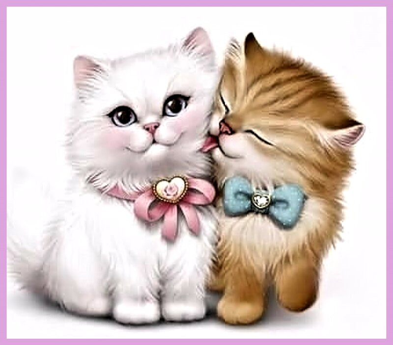 Two Kittens Kissing — White, Affectionate