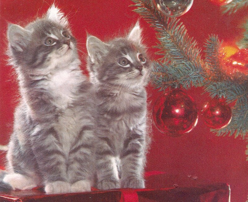 Two Kittens Near Tree — Red, Festive