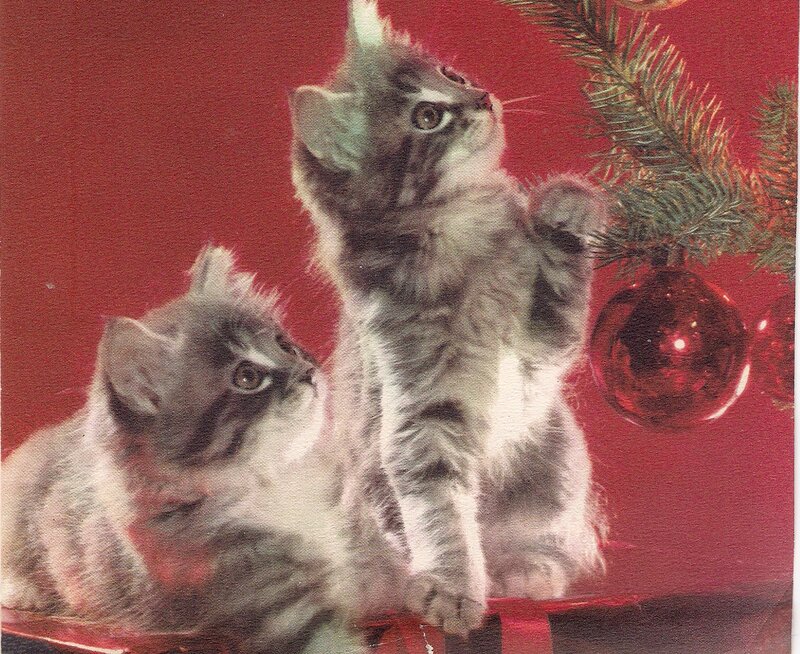 Two Kittens Near Tree — Red