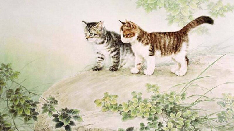 Two Kittens on a Rock — Green
