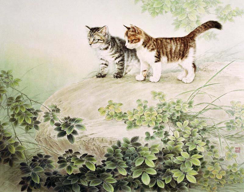 Two Kittens on a Rock