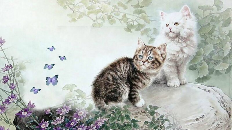 Two Kittens on a Rock — White, Serene