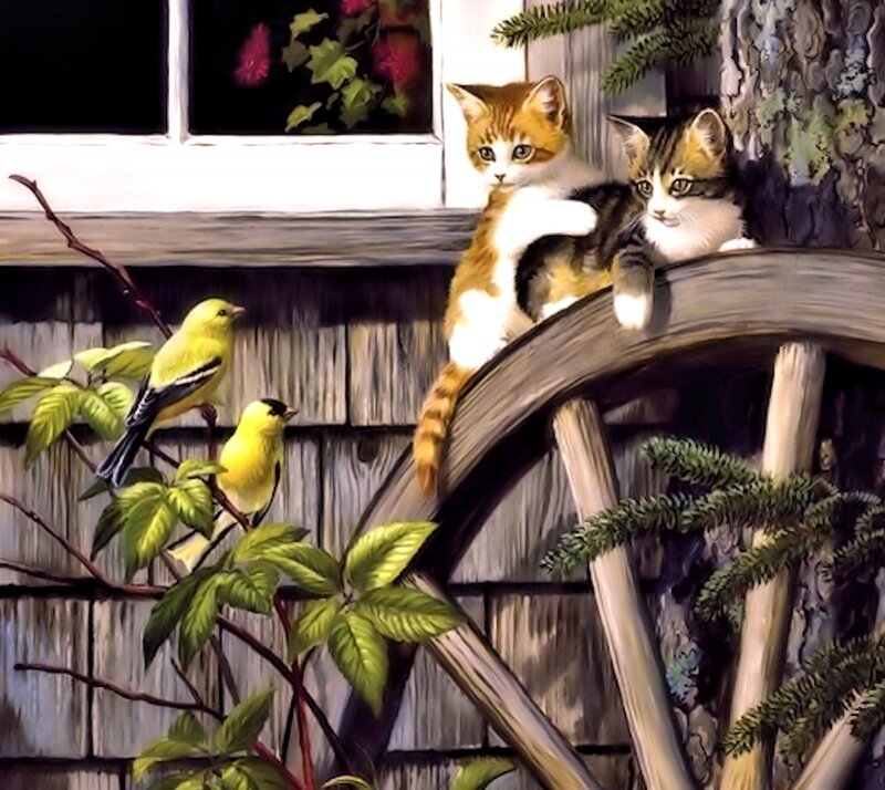 Two Kittens on a Wheel