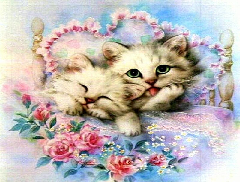 Two Kittens on Bed
