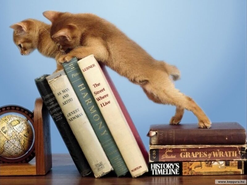 Two Kittens on Books — Blue