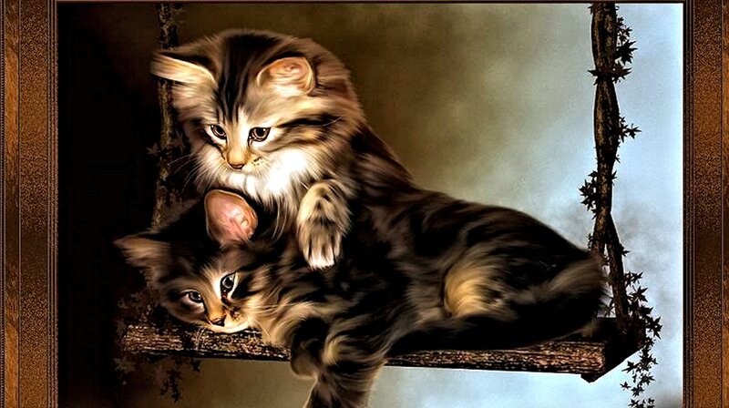 Two Kittens on Swing