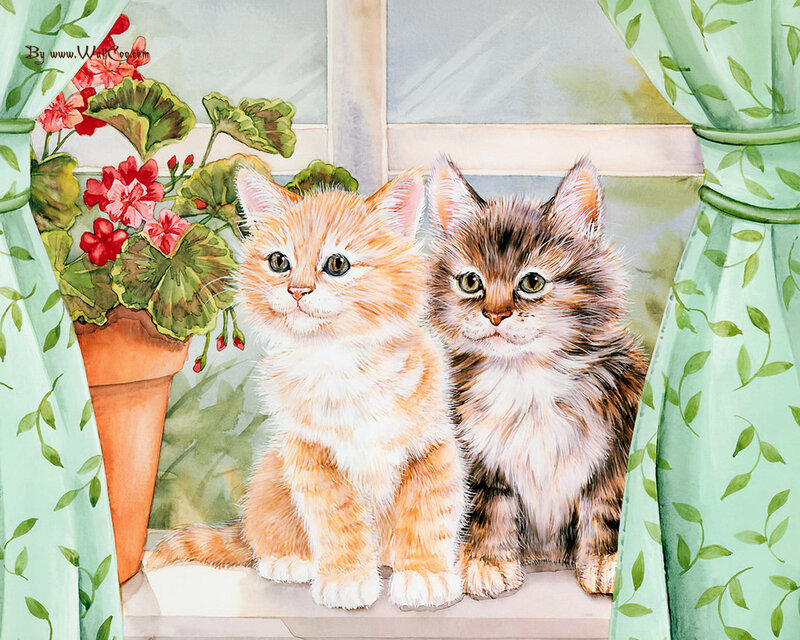 Two Kittens on Windowsill