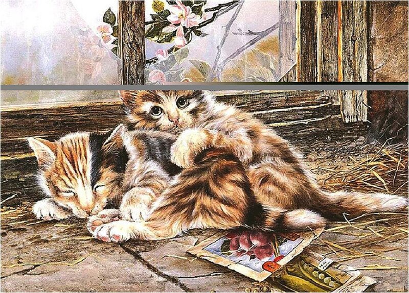 Two Kittens Playing — Brown, Calm