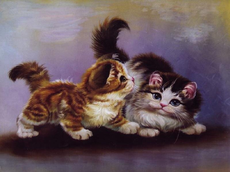 Two Kittens Playing — Brown