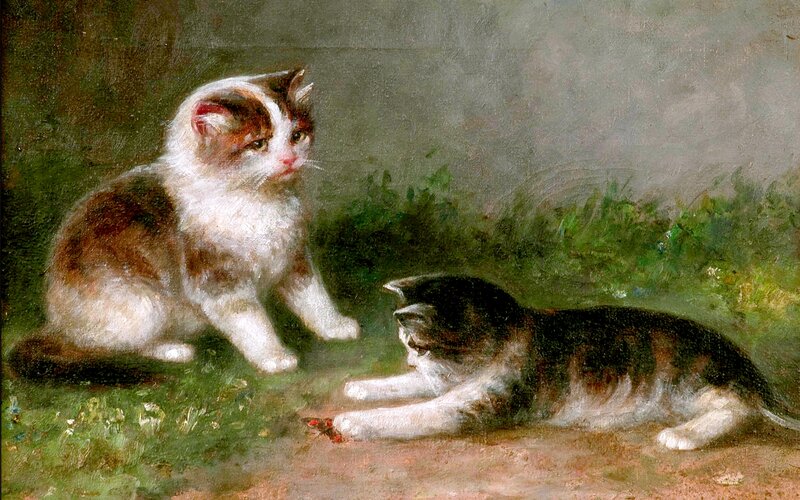 Two Kittens Playing — Green, Calm