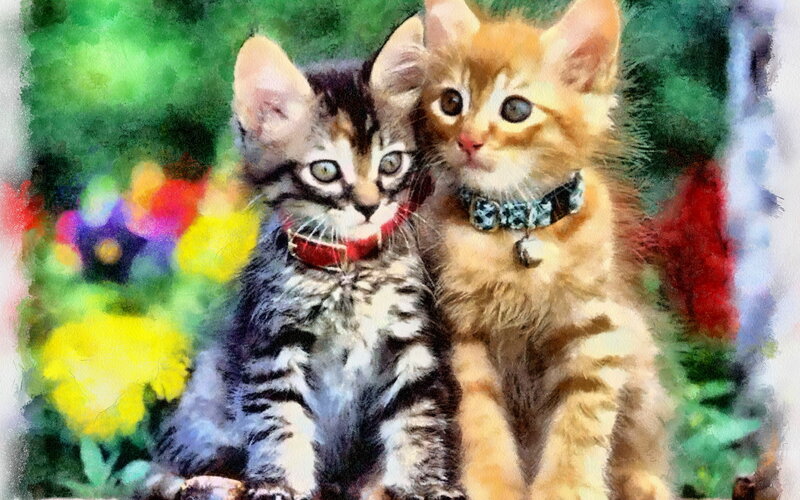 Two Kittens Sitting — Yellow, Calm