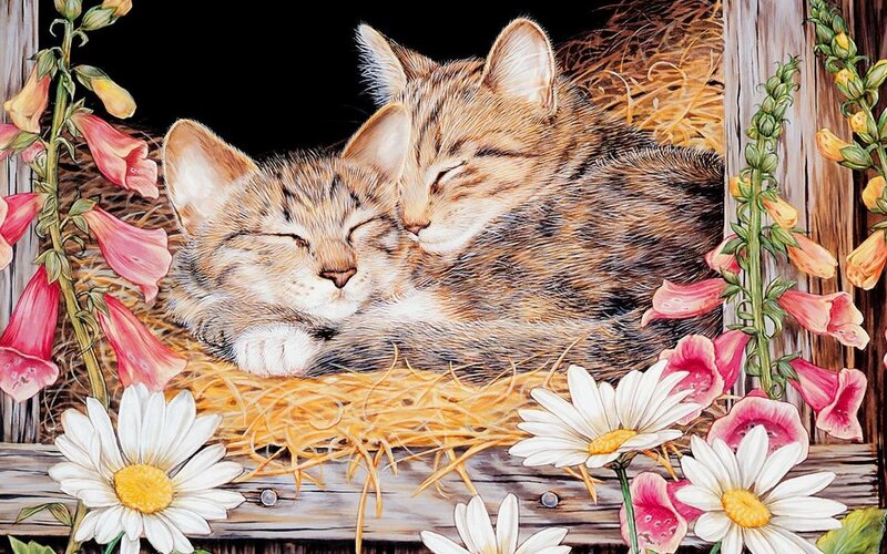 Two Kittens Sleeping — Brown, Peaceful, Illustration, Straw