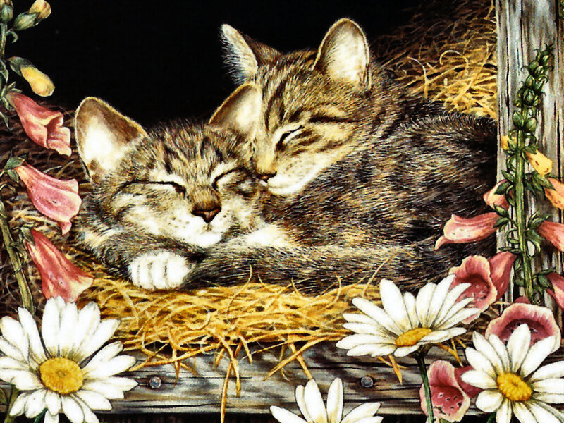 Two Kittens Sleeping — Brown, Peaceful, Illustration