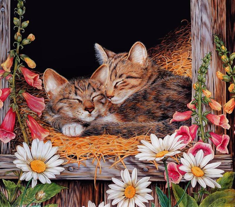 Two kittens sleeping in hay