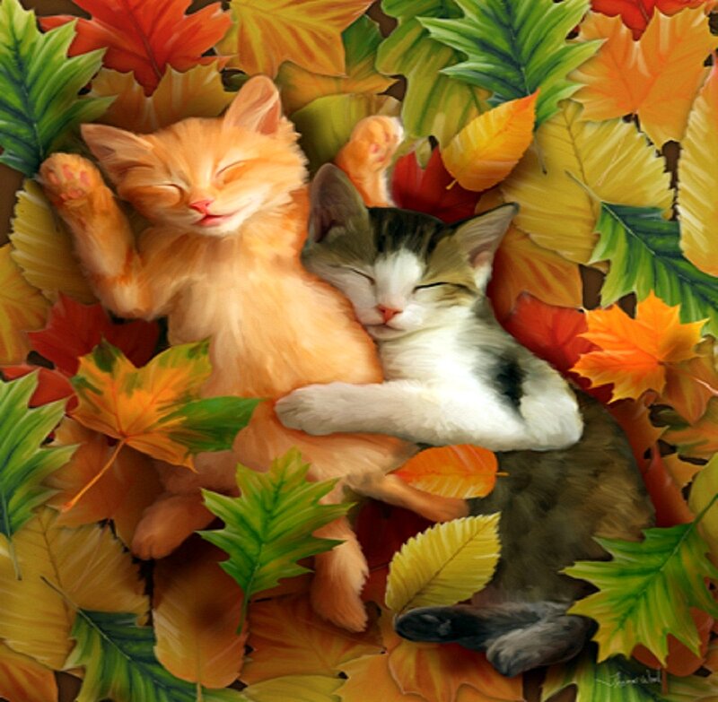 Two Kittens Sleeping — Orange, Peaceful, Autumn