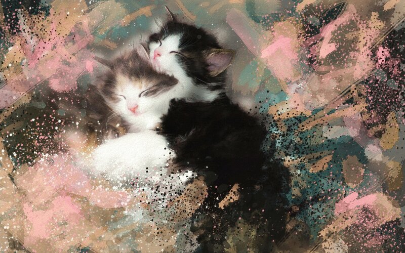 Two Kittens Sleeping — Pink, Peaceful, Digital Art