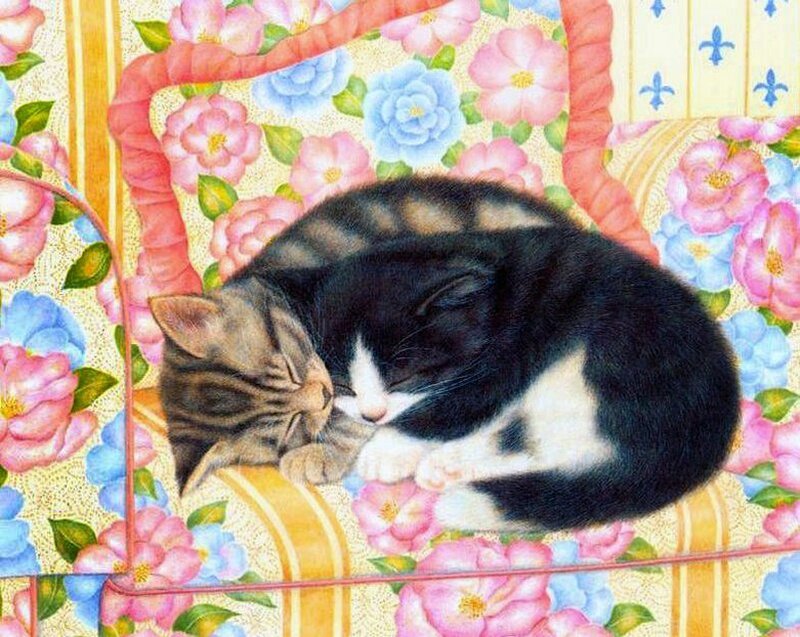Two Kittens Sleeping — Pink