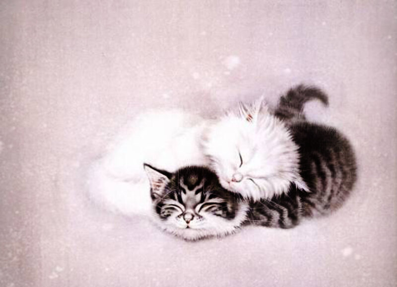 Two Kittens Sleeping — White
