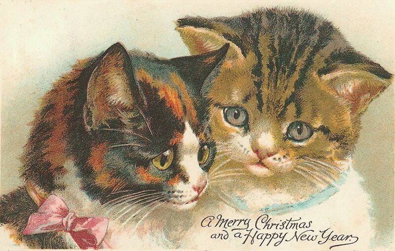 Two Kittens Together — Brown