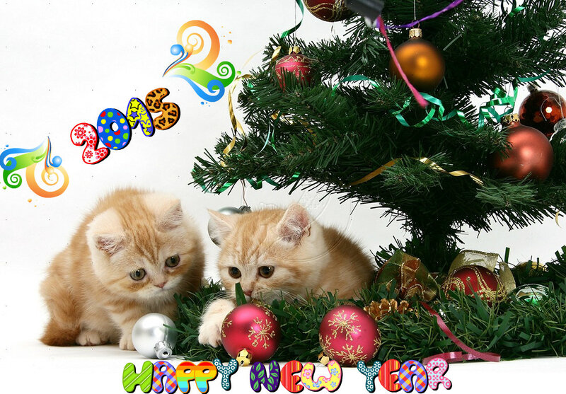 Two Kittens under Tree