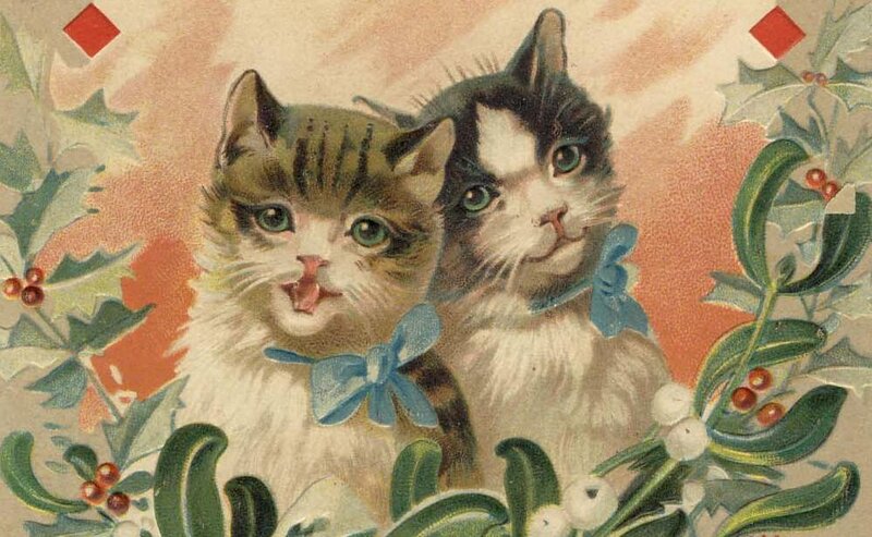 Two Kittens with Bows