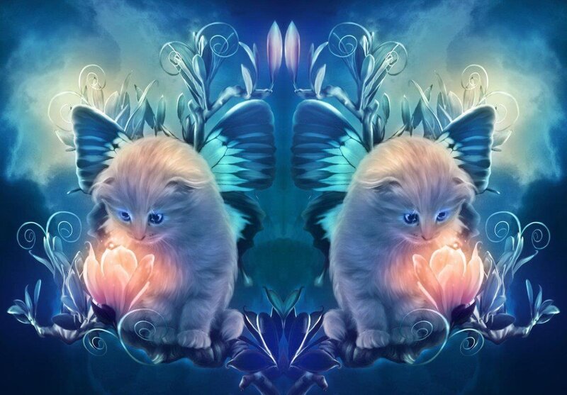 Two Kittens with Butterfly Wings