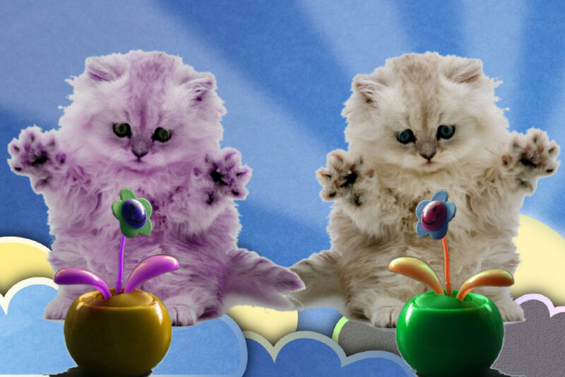 Two Kittens with Flowers — Blue