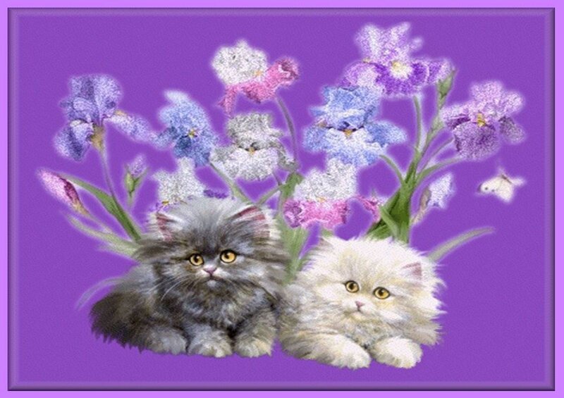 Two Kittens with Flowers — Purple