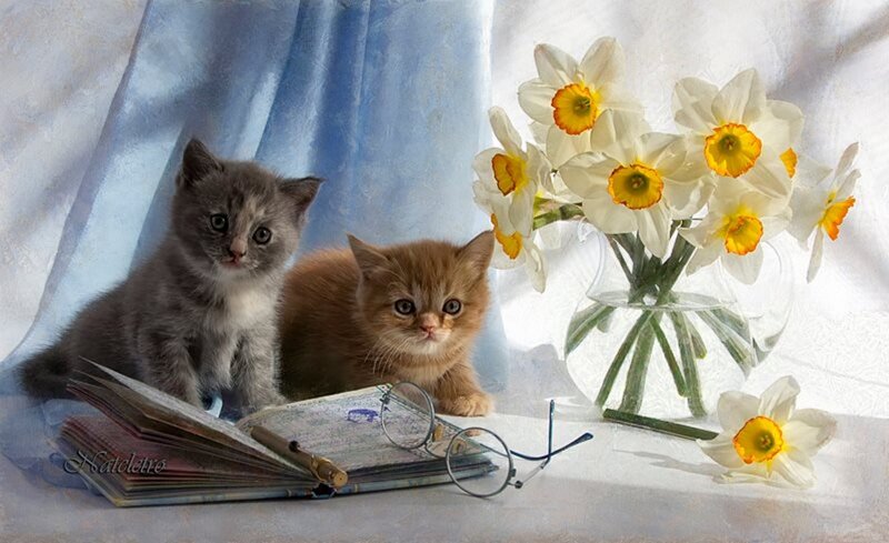 Two Kittens with Flowers — White, Serene