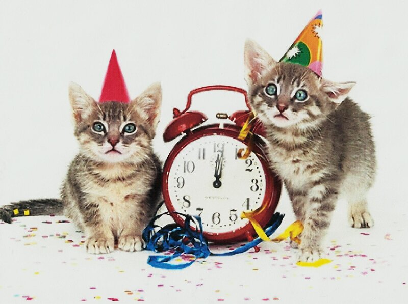 Two Kittens with Party Hats