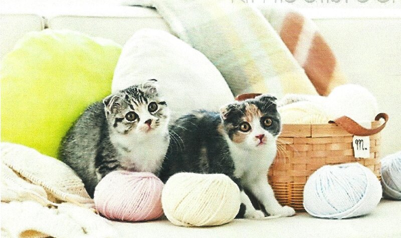 Two Kittens with Yarn — White