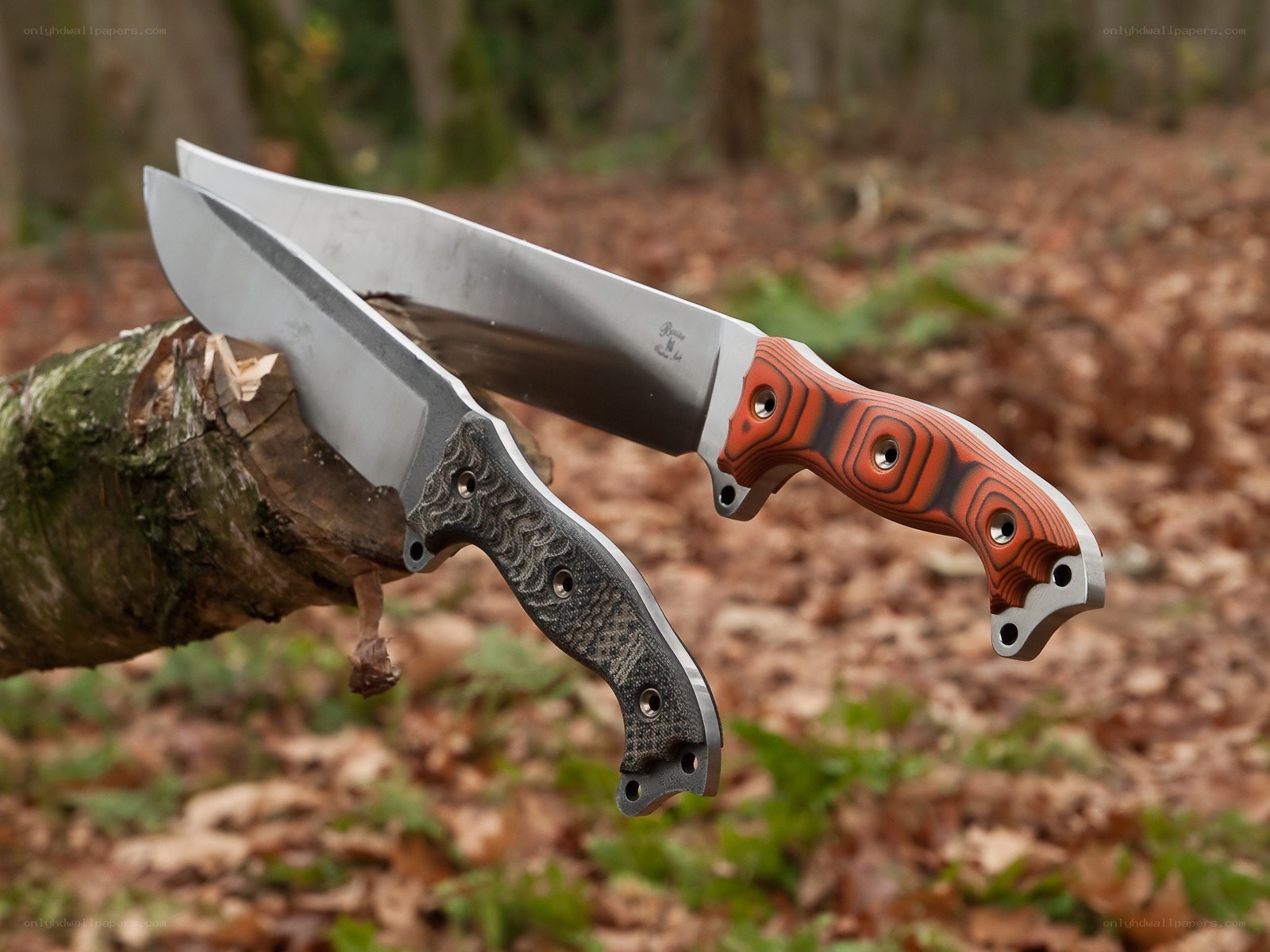 Two knives on a tree branch