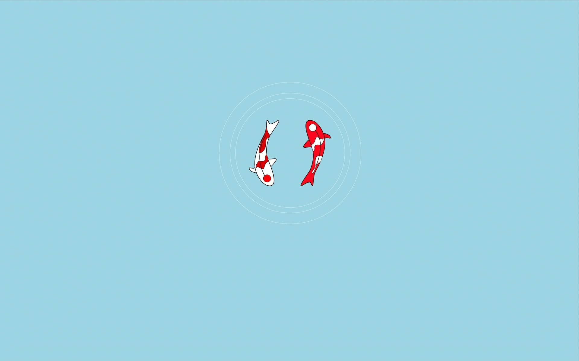 Two koi fish in calm water